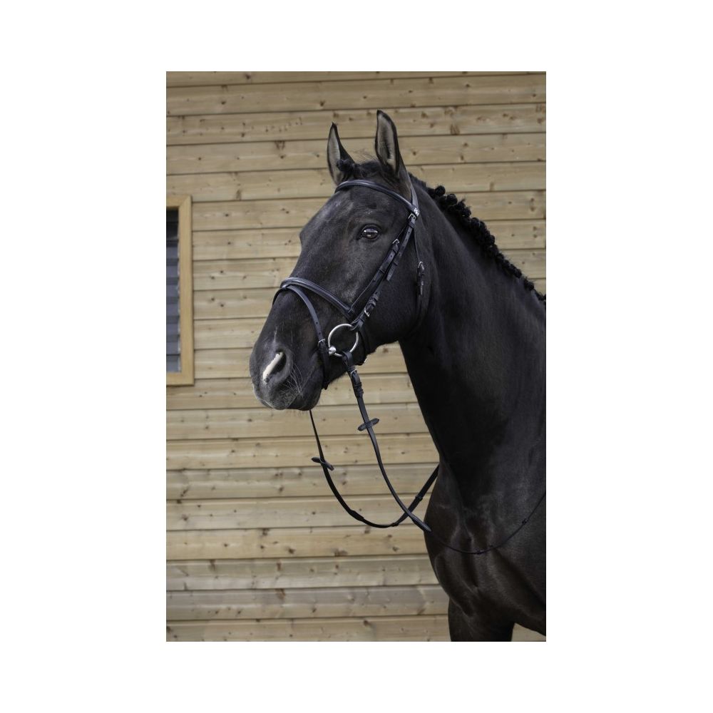 Bridon RIDING WORLD - Muserolle combinée