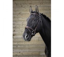 Bridon NORTON PRO - Fin