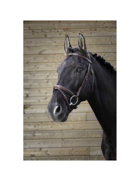 Bridon NORTON PRO - Fin