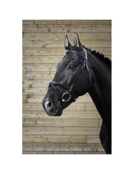 Bridon NORTON PRO - Fin