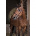 Bridon NORTON PRO - Fin