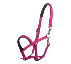 Licol poulain Millie- HKM