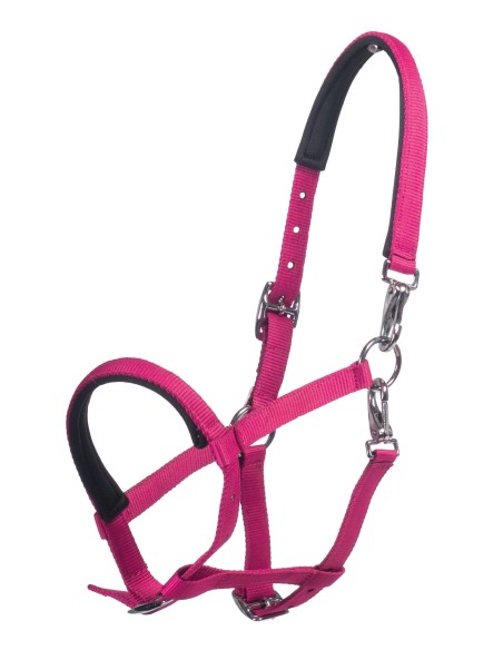 Licol poulain Millie- HKM