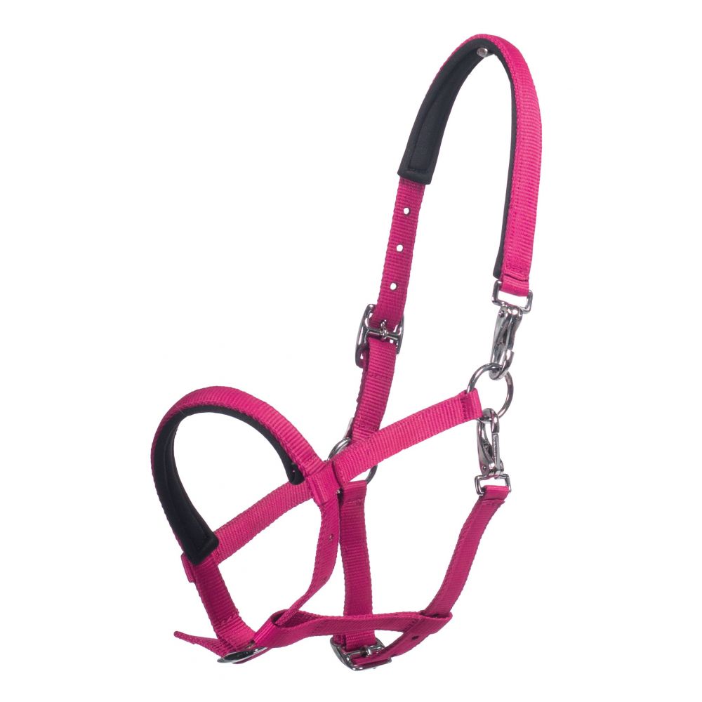 Licol poulain Millie- HKM