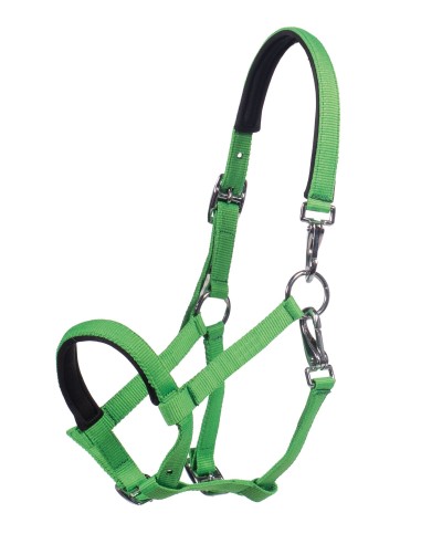 Licol poulain Millie- HKM