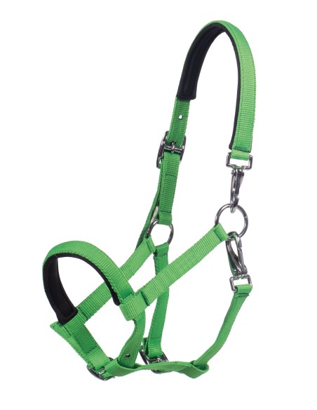 Licol poulain Millie- HKM