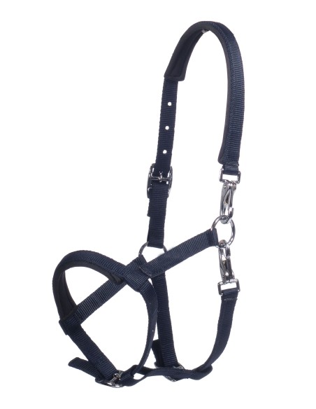 Licol poulain Millie- HKM