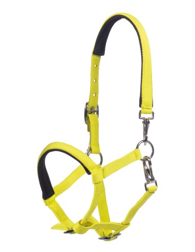 Licol poulain Millie- HKM