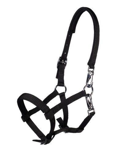 Licol poulain Millie- HKM