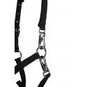 Licol poulain Millie- HKM
