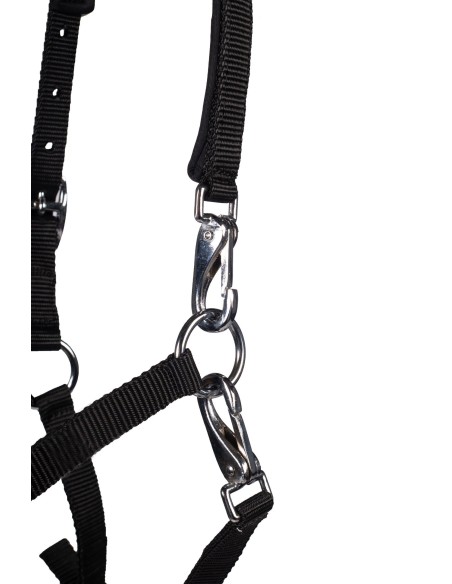 Licol poulain Millie- HKM