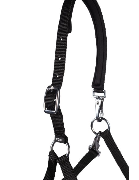 Licol poulain Millie- HKM