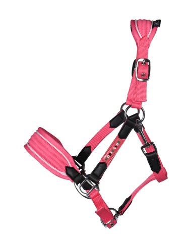 Licol Maui pour shettys HKM Kids