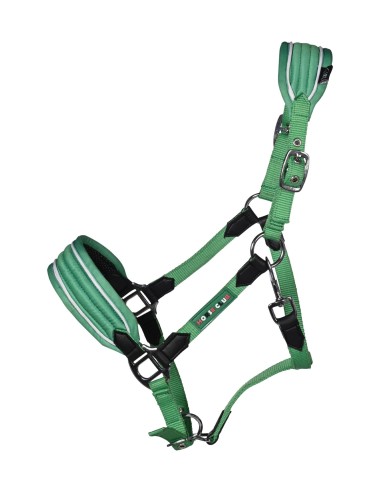 Licol Maui pour shettys HKM Kids