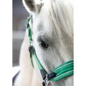 Licol Maui pour shettys HKM Kids