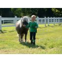 Licol Maui pour shettys HKM Kids