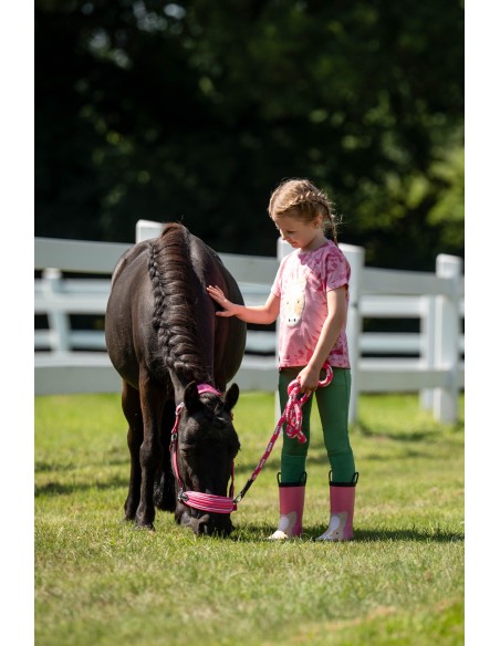 Licol Maui pour shettys HKM Kids