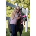 Licol Maui pour shettys HKM Kids