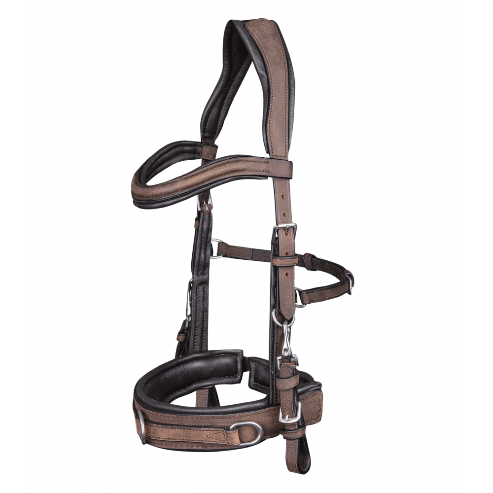 Caveçon en cuir anatomic
