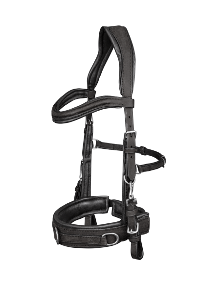 Caveçon en cuir anatomic