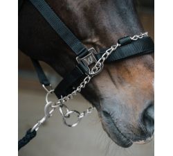 Licol Control avec chaîne