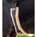 Sangle de selle en cuir Waldhausen avec ECO Wool