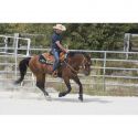 Selle WESTRIDE by Franck Perret - Aurora