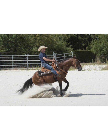 Selle WESTRIDE by Franck Perret - Aurora