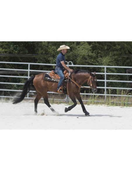 Selle WESTRIDE by Franck Perret - Aurora