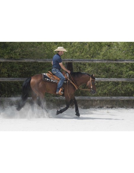 Selle WESTRIDE by Franck Perret - Aurora