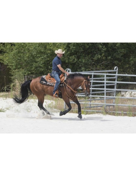 Selle WESTRIDE by Franck Perret - Aurora
