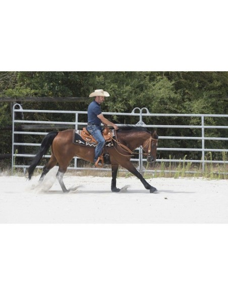 Selle WESTRIDE by Franck Perret - Aurora