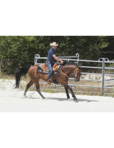 Selle WESTRIDE by Franck Perret - Aurora