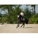Polo Catherine- HKM
