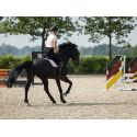 Polo Catherine- HKM