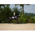 Polo Catherine- HKM