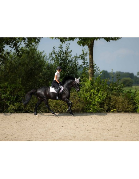 Polo Catherine- HKM