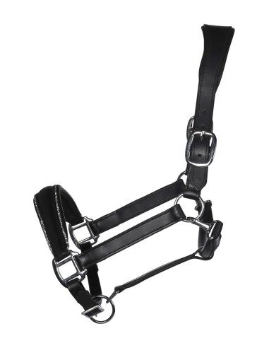 Licol en cuir Glamour- HKM