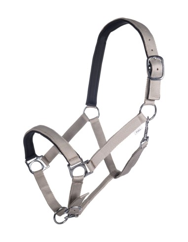 Licol Stars HKM avec doublure soft