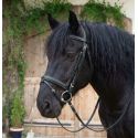 Bridon cheval de trait