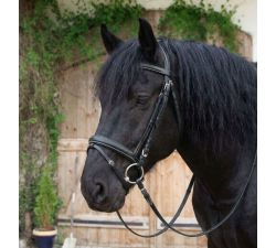 Bridon cheval de trait