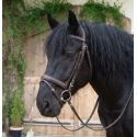 Bridon cheval de trait