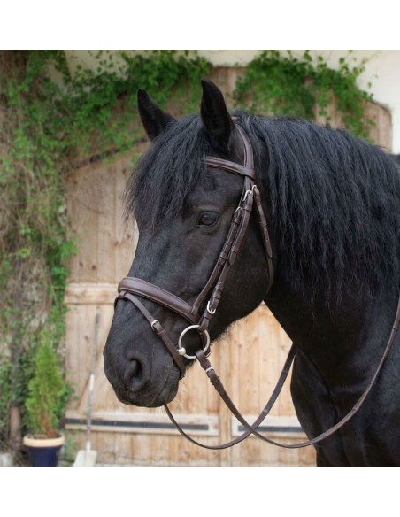 Bridon pour Cheval de Trait – Cuir Résistant | Marron/Noir | Réglages Multiples | Confort Optimal