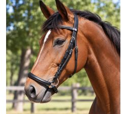 Bridon muserolle allemande cuir de buffle DMH Equitation noir