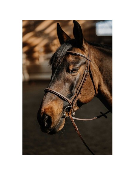 Bridon NORTON Hunter soft
