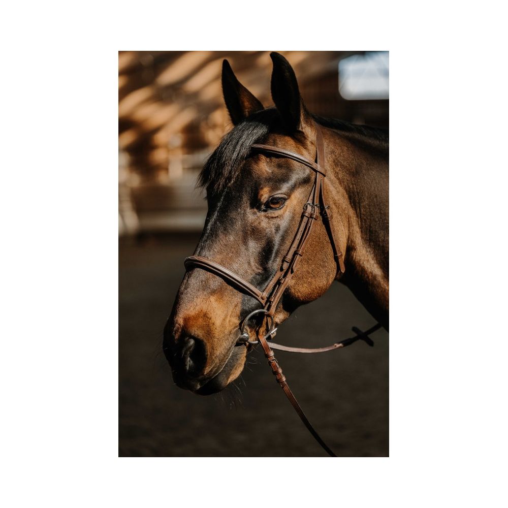 Bridon NORTON Hunter soft