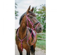 Bridon endurance NORTON Pop