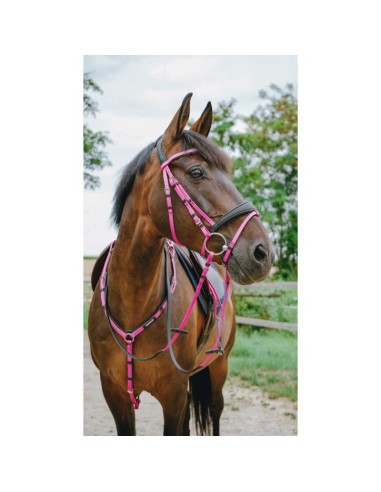 Bridon endurance NORTON Pop