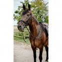 Bridon endurance NORTON Pop