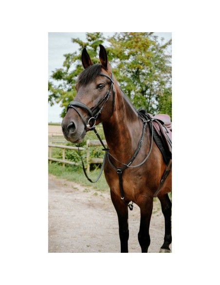 Bridon endurance NORTON Pop